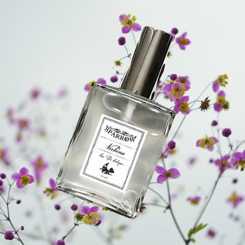 Verbena cologne online